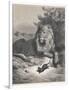 The Lion and the Mouse-Gustave Doré-Framed Photographic Print