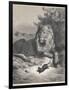 The Lion and the Mouse-Gustave Doré-Framed Photographic Print