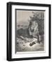 The Lion and the Mouse-Gustave Doré-Framed Photographic Print