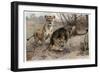 The Lion by Alfred Edmund Brehm-Stefano Bianchetti-Framed Giclee Print