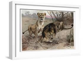 The Lion by Alfred Edmund Brehm-Stefano Bianchetti-Framed Giclee Print