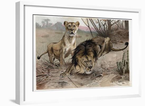 The Lion by Alfred Edmund Brehm-Stefano Bianchetti-Framed Giclee Print