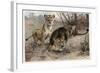 The Lion by Alfred Edmund Brehm-Stefano Bianchetti-Framed Giclee Print