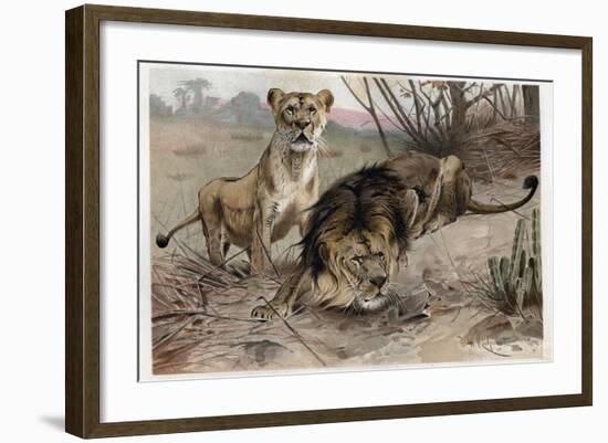 The Lion by Alfred Edmund Brehm-Stefano Bianchetti-Framed Giclee Print