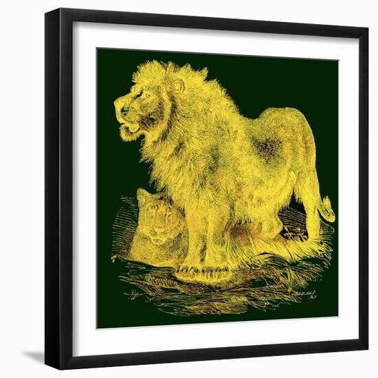 The Lion, Illustration from J. G. Wood's 'Illustrated Natural History', Published C.1850-English-Framed Giclee Print