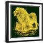 The Lion, Illustration from J. G. Wood's 'Illustrated Natural History', Published C.1850-English-Framed Giclee Print