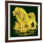 The Lion, Illustration from J. G. Wood's 'Illustrated Natural History', Published C.1850-English-Framed Giclee Print