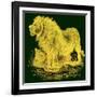 The Lion, Illustration from J. G. Wood's 'Illustrated Natural History', Published C.1850-English-Framed Giclee Print