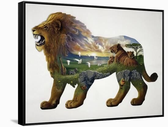 The Lion King-John Van Straalen-Framed Stretched Canvas