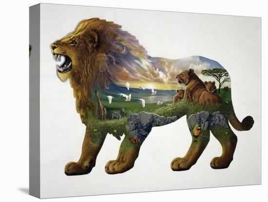 The Lion King-John Van Straalen-Stretched Canvas