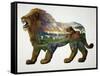 The Lion King-John Van Straalen-Framed Stretched Canvas