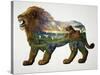 The Lion King-John Van Straalen-Stretched Canvas