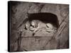 The Lion, Lucerne, Switzerland-Giorgio Sommer-Stretched Canvas