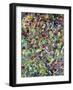 The Lion Of Spring-James W Johnson-Framed Giclee Print