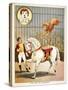 The Lion On Horseback'. a Lion Tamer, Horse and Lion, in a Circus Act-null-Stretched Canvas