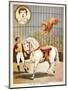 The Lion On Horseback'. a Lion Tamer, Horse and Lion, in a Circus Act-null-Mounted Giclee Print