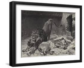 The Lion's Awakening-Paul Friedrich Meyerheim-Framed Giclee Print