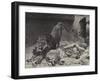 The Lion's Awakening-Paul Friedrich Meyerheim-Framed Giclee Print