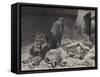 The Lion's Awakening-Paul Friedrich Meyerheim-Framed Stretched Canvas