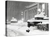 The Lion Statues at the New York Public Library Covered with Snow During the Record Snowfall-null-Stretched Canvas