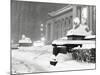 The Lion Statues at the New York Public Library Covered with Snow During the Record Snowfall-null-Mounted Photo