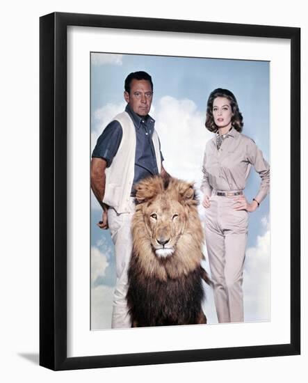 The Lion-null-Framed Photo