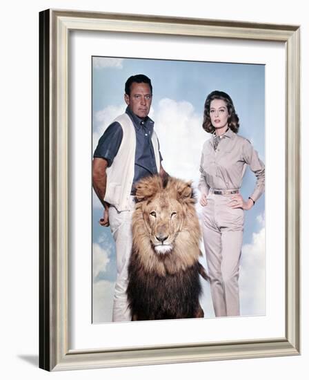 The Lion-null-Framed Photo
