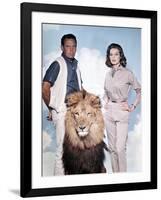 The Lion-null-Framed Photo