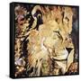 The Lion-James Grey-Framed Stretched Canvas