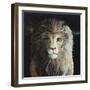 The Lion-Jamin Still-Framed Giclee Print