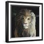 The Lion-Jamin Still-Framed Giclee Print