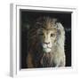 The Lion-Jamin Still-Framed Giclee Print