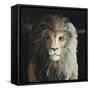 The Lion-Jamin Still-Framed Stretched Canvas