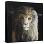 The Lion-Jamin Still-Framed Stretched Canvas