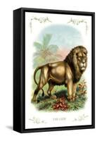 The Lion-null-Framed Stretched Canvas