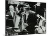 The Lionel Hampton Orchestra Playing at the Newport Jazz Festival, Middlesbrough, 1978-Denis Williams-Mounted Photographic Print