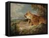 The Lioness, C.1824-27-John Frederick Lewis-Framed Stretched Canvas