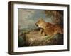 The Lioness, C.1824-27-John Frederick Lewis-Framed Giclee Print