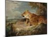 The Lioness, C.1824-27-John Frederick Lewis-Mounted Giclee Print