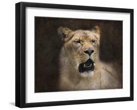 The Lioness Portrait-Jai Johnson-Framed Giclee Print