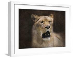The Lioness Portrait-Jai Johnson-Framed Giclee Print