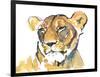 The Lioness-Mark Adlington-Framed Giclee Print