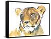 The Lioness-Mark Adlington-Framed Stretched Canvas