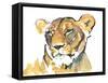 The Lioness-Mark Adlington-Framed Stretched Canvas
