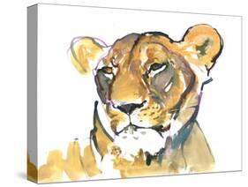 The Lioness-Mark Adlington-Stretched Canvas