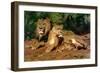 The Lions at Home, 1881-Rosa Bonheur-Framed Giclee Print