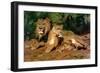 The Lions at Home, 1881-Rosa Bonheur-Framed Giclee Print