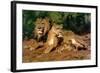 The Lions at Home, 1881-Rosa Bonheur-Framed Giclee Print