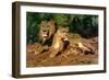 The Lions at Home, 1881-Rosa Bonheur-Framed Premium Giclee Print
