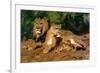 The Lions at Home, 1881-Rosa Bonheur-Framed Giclee Print